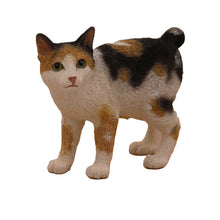 Wooden Pet Urn with Standing Tortoiseshell and White Japanese Bobtail Figurine & 4x6 Inches Photo Holder