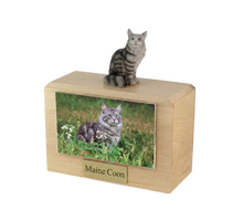 Wooden Pet Urn with Sitting Silver Tabby Maine Coon Figurine & 4x6 Inches Photo Holder
