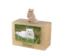Wooden Pet Urn with Sitting White Persian Cat Figurine & 4x6 Inches Photo Holder