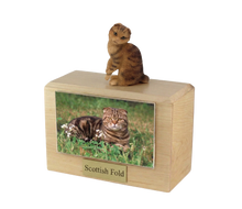Wooden Pet Urn with Sitting Brown Tabby Scottish Fold Figurine & 4x6 Inches Photo Holder