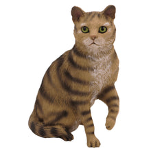 Wooden Pet Urn with Sitting Brown Tabby Shorthair Cat Figurine & 4x6 Inches Photo Holder
