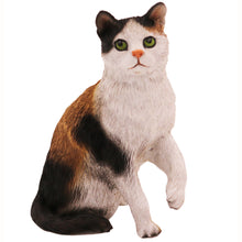 Wooden Pet Urn with Sitting Calico Shorthair Cat Figurine & 4x6 Inches Photo Holder