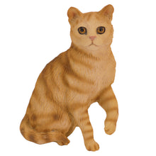 Wooden Pet Urn with Sitting Tabby Red Shorthair Cat Figurine & 4x6 Inches Photo Holder