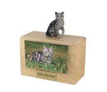 Wooden Pet Urn with Sitting Tabby and Silver Shorthair Cat Figurine & 4x6 Inches Photo Holder