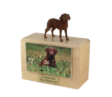 Wooden Pet Urn with Standing Chesapeake Bay Retriever Figurine & 4x6 Inches Photo Holder