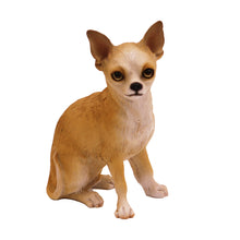 Wooden Pet Urn with Sitting White and Tan Chihuahua Figurine & 4x6 Inches Photo Holder