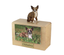 Urna de madera para mascotas con figura de terrier escocés sentado y portafotos de 10 x 15 cm
