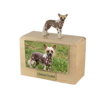 Urna de madera para mascotas con figura de terrier escocés sentado y portafotos de 10 x 15 cm