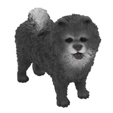 Urna de madera para mascotas con figura de terrier escocés sentado y portafotos de 10 x 15 cm