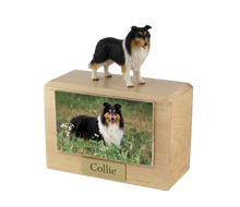 Urna de madera para mascotas con figura de terrier escocés sentado y portafotos de 10 x 15 cm