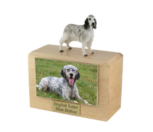 Wooden Pet Urn with Standing Blue Belton English Setter Figurine & 4x6 Inches Photo Holder
