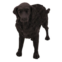 Wooden Pet Urn with Standing Flat Coated Retriever Figurine & 4x6 Inches Photo Holder