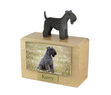 Wooden Pet Urn with Standing Kerry Blue Terrier Figurine & 4x6 Inches Photo Holder