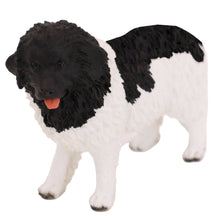 Wooden Pet Urn with Standing Landseer Figurine & 3.5x5 Inches Photo Holder