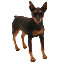Wooden Pet Urn with Standing Black and Tan Miniature Pinscher Figurine & 4x6 Inches Photo Holder