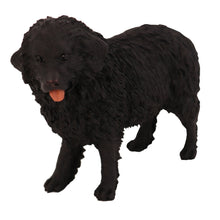 Wooden Pet Urn with Standing Newfoundland Figurine & 3.5x5 Inches Photo Holder