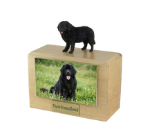 Wooden Pet Urn with Standing Newfoundland Figurine & 3.5x5 Inches Photo Holder