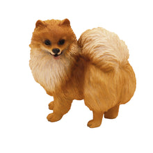 Wooden Pet Urn with Standing Pomeranian Figurine & 4x6 Inches Photo Holder