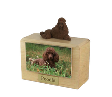 Urna de madera para mascotas con figura de terrier escocés sentado y portafotos de 10 x 15 cm