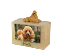 Wooden Pet Urn with Lying Down Show Cut Apricot Poodle Figurine & 4x6 Inches Photo Holder