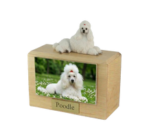 Wooden Pet Urn with Lying Down Show Cut White Poodle Figurine & 4x6 Inches Photo Holder