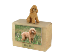 Wooden Pet Urn with Sitting Sport Cut Apricot Poodle Figurine & 4x6 Inches Photo Holder