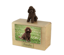 Wooden Pet Urn with Sitting Sport Cut Chocolate Poodle Figurine & 4x6 Inches Photo Holder