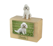 Wooden Pet Urn with Sitting Sport Cut White Poodle Figurine & 4x6 Inches Photo Holder