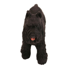 Wooden Pet Urn with Standing Black Schnauzer Ears-Up Figurine & 4x6 Inches Photo Holder