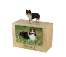 Wooden Pet Urn with Standing Tri-Color Sheltie Figurine & 4x6 Inches Photo Holder
