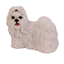Wooden Pet Urn with Standing White Shih Tzu Figurine & 4x6 Inches Photo Holder