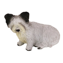 Wooden Pet Urn with Sitting Skye Terrier Figurine & 4x6 Inches Photo Holder