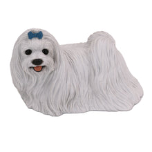 Wooden Pet Urn with Standing Maltese with Blue Ribbon Figurine & 3.5x5 Inches Photo Holder