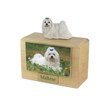 Wooden Pet Urn with Standing Maltese with Blue Ribbon Figurine & 3.5x5 Inches Photo Holder