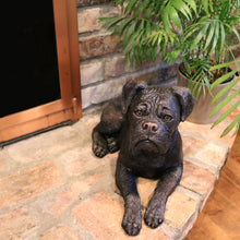 Bronze Boxer Lying with Ears Down ShadowCast Figurine Large Pet Urn