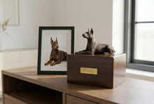 Simply Series Bronze Doberman, Ears Up Figurine Pet Cremation Urn