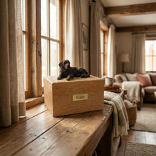 Simply Series Jumbo Bronze Saint Bernard, Lying Down Figurine Pet Cremation Urn