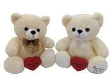 Teddy Bear Pet Cremation Urn 