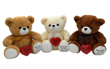 Teddy Bear Pet Cremation Urn With Embroidery