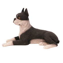 Boston Terrier, Lying Down Figurine Pet Cremation Urn