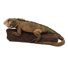 Iguana, Lying Down Figurine Pet Cremation Urn