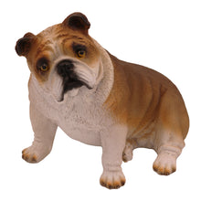 Fawn Bulldog, Sitting Figurine Pet Cremation Urn