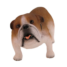 Brown and White Bulldog, Standing Figurine Pet Cremation Urn