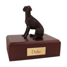 Bronze Great Dane with Ears Down, Sitting Figurine Pet Cremation Urn