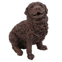 Bronze Newfoundland, Sitting Figurine Pet Cremation Urn