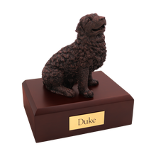 Bronze Newfoundland, Sitting Figurine Pet Cremation Urn