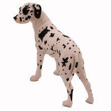 Harlequin Great Dane, Ears Down Standing Figurine Pet Cremation Urn