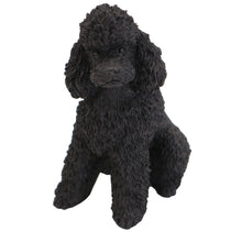 Black Poodle, Sport Cut Sitting Figurine Pet Cremation Urn
