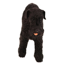 Female Black Schnauzer, Ears Down Standing Figurine Pet Cremation Urn
