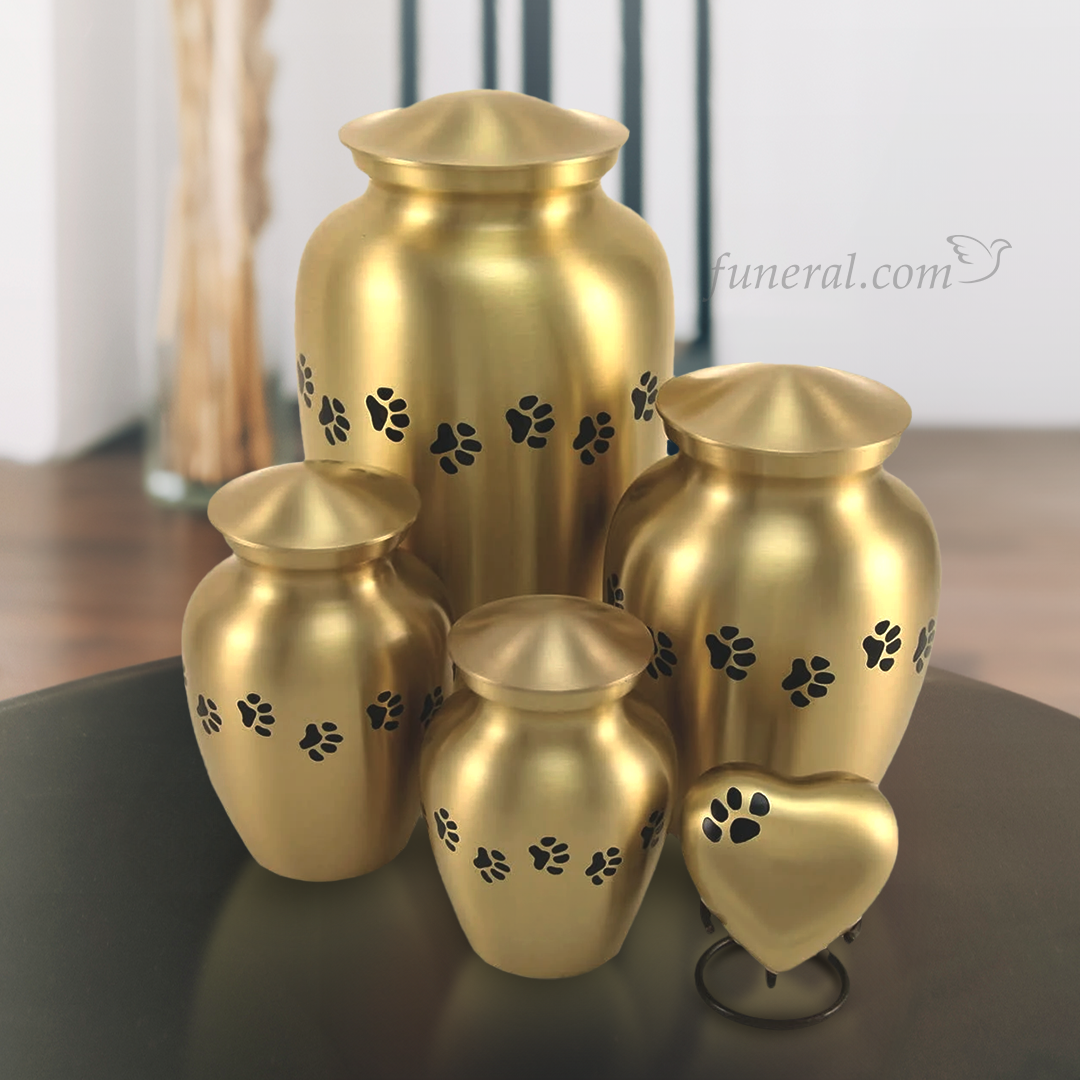 Gabrielle Paw Brass Extra Large Pet Urn Set